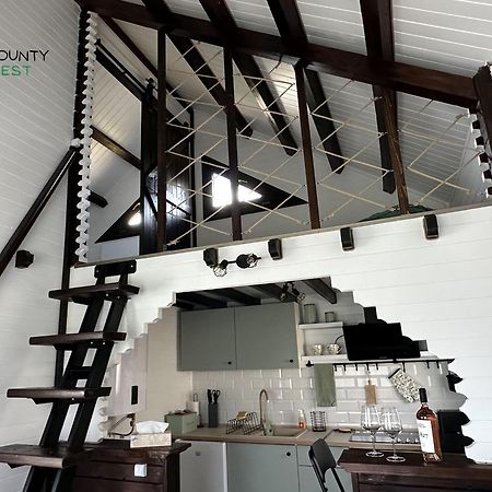 Mounty Nest Fundata المظهر الخارجي الصورة